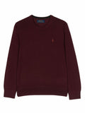 Polo Ralph Lauren Kids Maglione