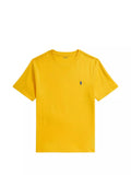 Polo Ralph Lauren Kids T-shirt