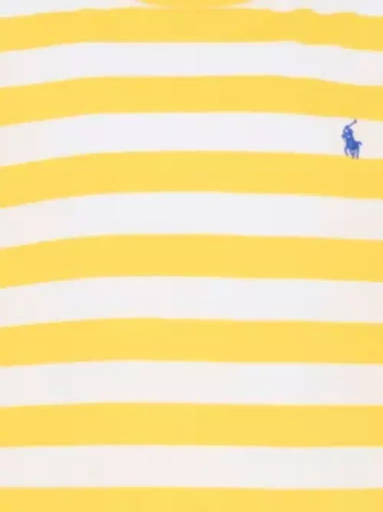 Polo Ralph Lauren Kids T-shirt