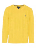 Polo Ralph Lauren Kids Maglione