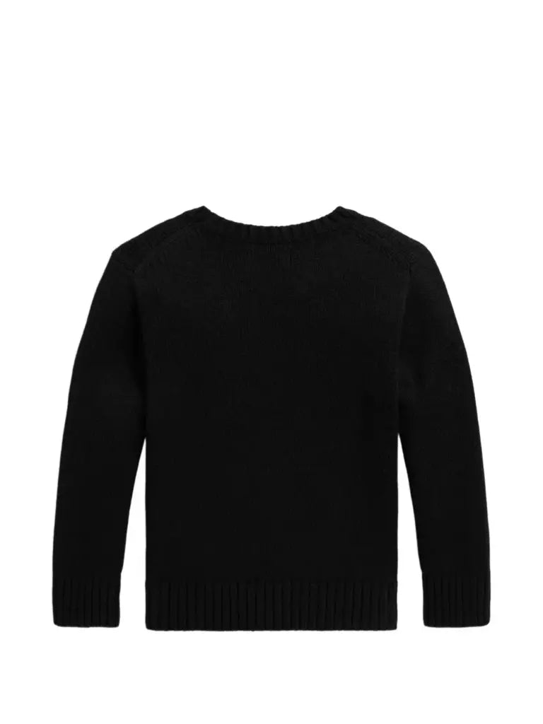 Polo Ralph Lauren Kids Maglione