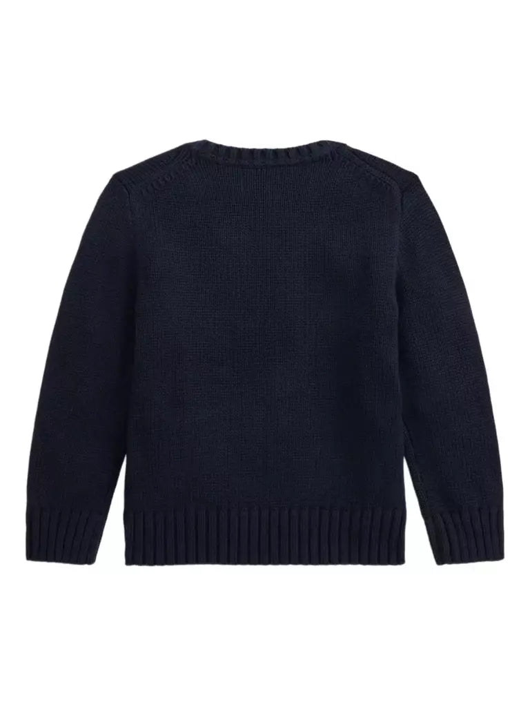 Polo Ralph Lauren Kids Maglione