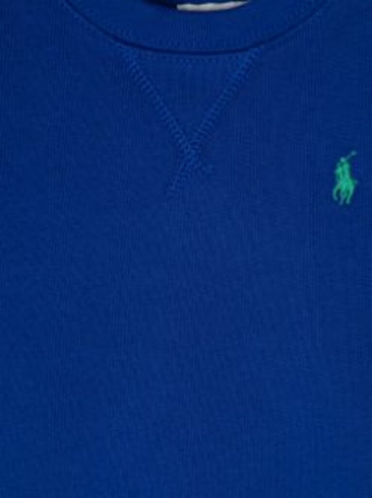 Polo Ralph Lauren Kids T-shirt
