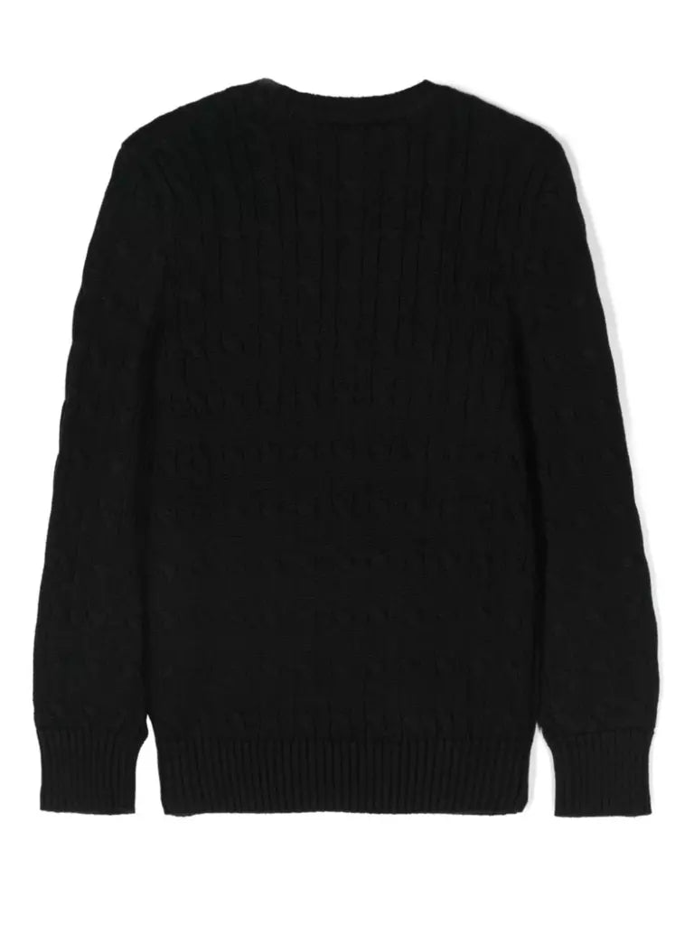 Polo Ralph Lauren Kids Maglione