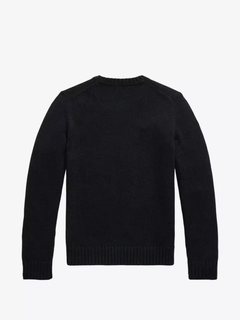 Polo Ralph Lauren Kids Maglione