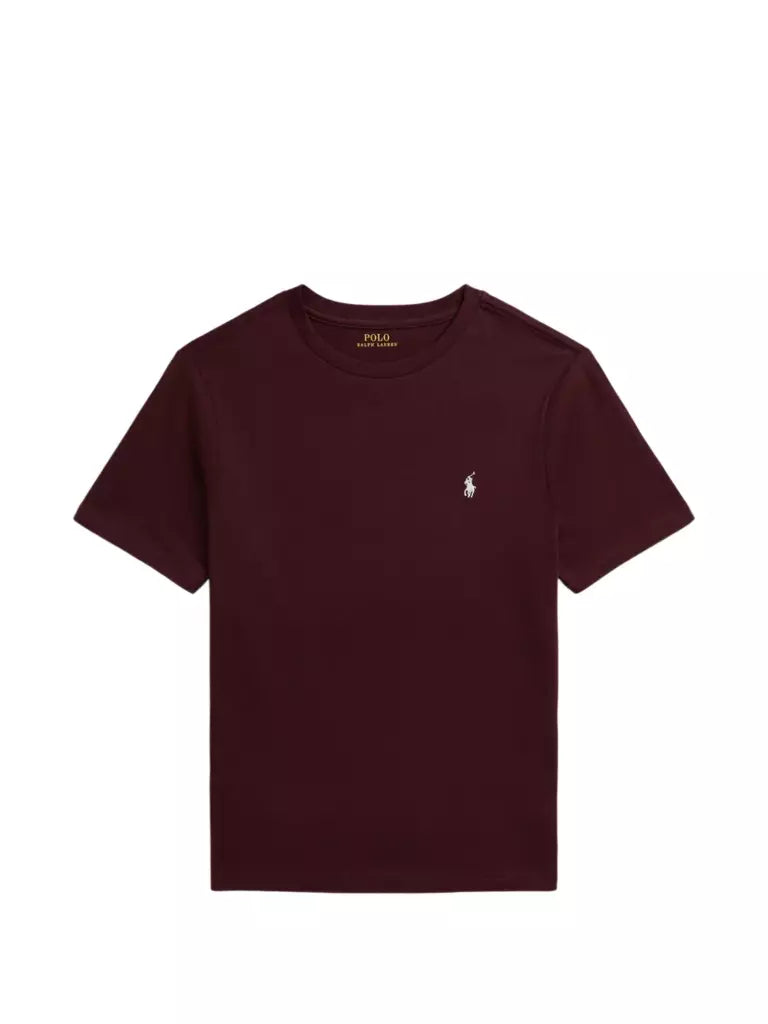 Polo Ralph Lauren Kids T-shirt