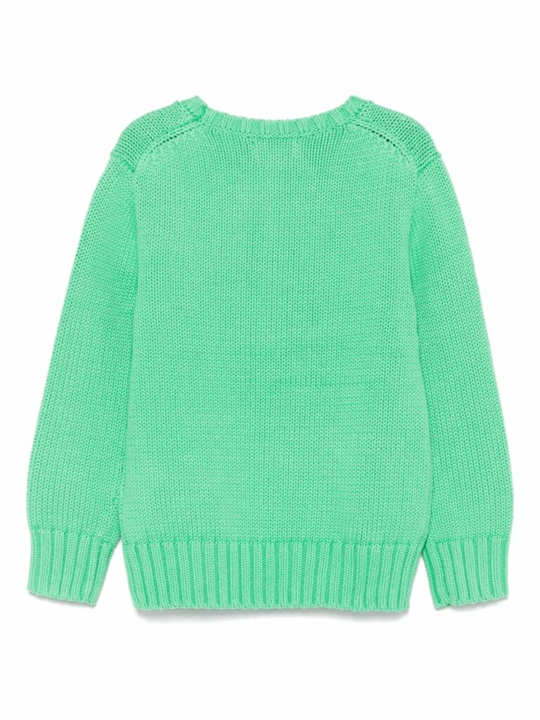 Polo Ralph Lauren Kids Maglione