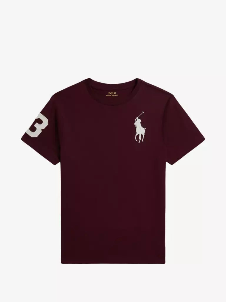Polo Ralph Lauren Kids T-shirt